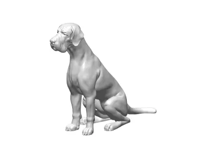 Dog 5 3D model