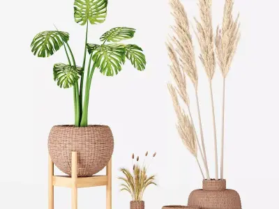 set vases-No3- wicker Vase 3D model