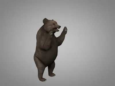 Grizzly Bear Low-poly 3D model shop