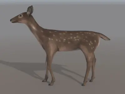 Low-poly Animated Deer Low-poly 3D model