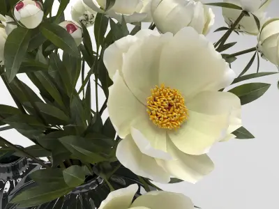 Flower Set bouquet 3D model