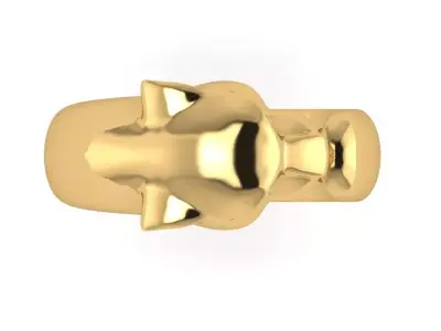 Phanter Ring 3D print model