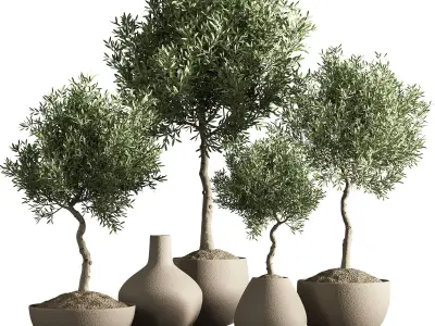 indoor plant stant 46 3D model