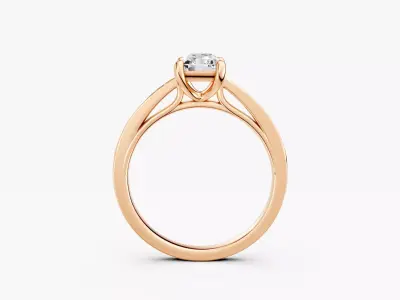 ZABS0016 RA engagement 3D print model