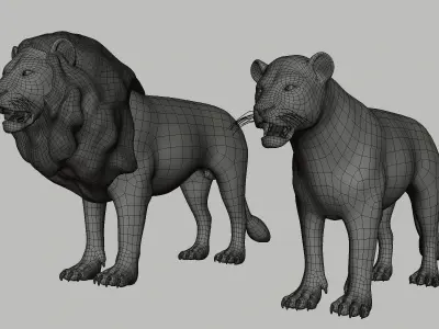 Lion Couple Low-poly 3D model