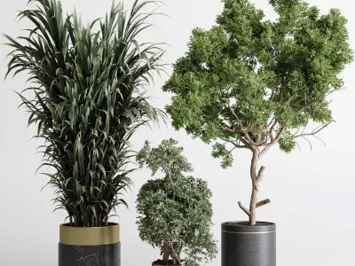 indoor plant 557 pot plant tree metal and marble dirt vase 3D model