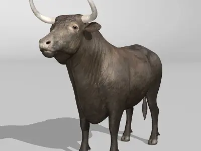 Bull - Rigged 3D model