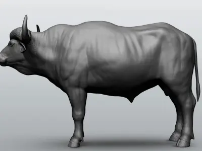 Wild animal collection - 10 animals VOL-3 3D model