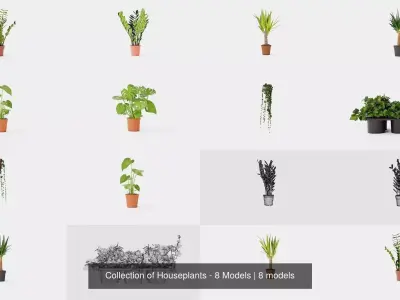 Collection of Houseplants - 8 Models