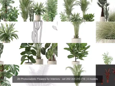 20 Photorealistic Flowers for Interiors - set 202 205 213 216 3D Model Collection