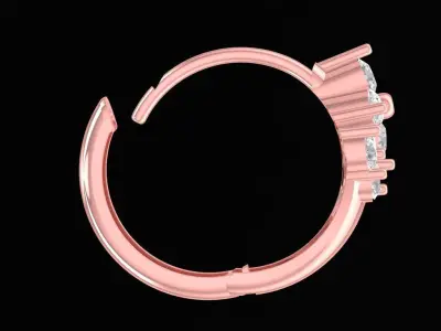 Elegant Floral Diamond Earrings for Women 2424 3D print model