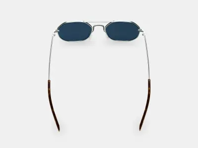 Renaldo Sunglasses in Antique Silver 3D model