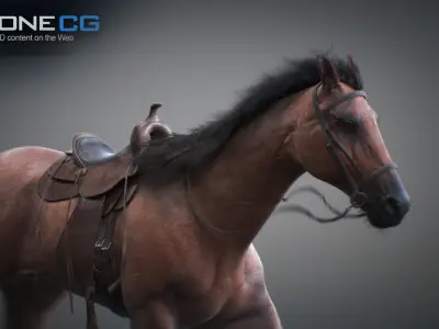 Animated Horses 3DS Max 3D model