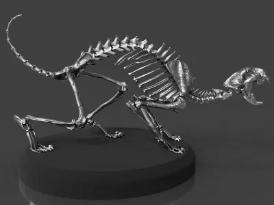 Silver CAT Skeleton 3D model