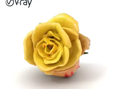 Realistic Rose Flower 3D model pack Low-poly 3D model