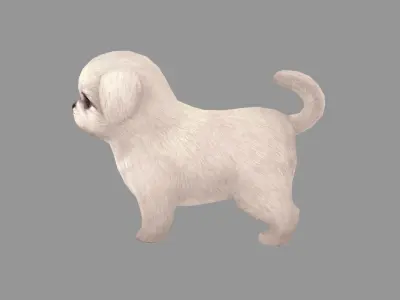 Cartoon pet puppy - White Pekingese - baby dog  Low-poly 3D model