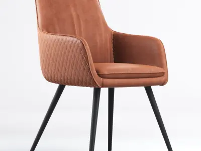 Renn Occasional leather Chair 3D model