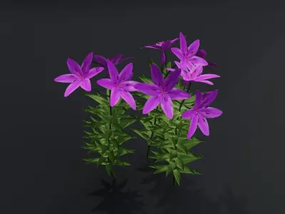 Lilium Lily Plant Low-poly 3D model