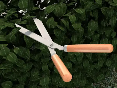 Garden Pruning Shears 3D model
