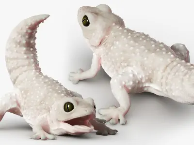 Gecko Reptile 3DS Max 3D model