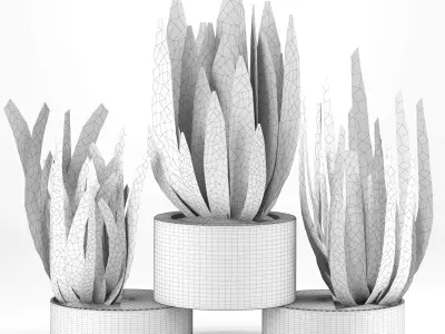 Indoor Plants in Ferm Living Bau Pot Large - Set026 3D model