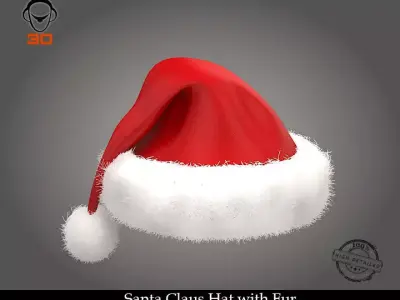 Santa Claus Hat with Fur 3D model