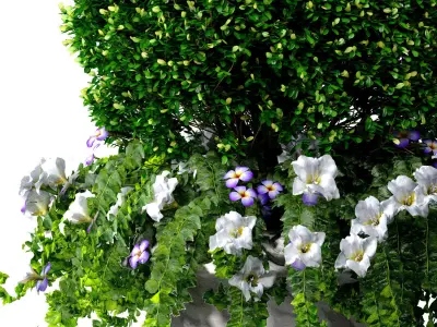 Boxwood with a flower bed in a classic garden marble vase urn 3D model