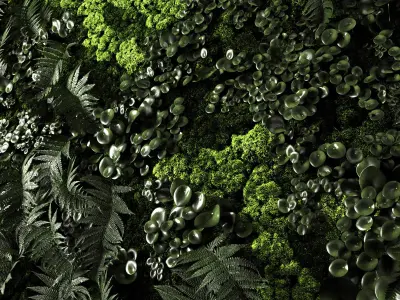 Phytowalls collection 3D model