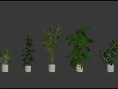 20 Photorealistic Flowers for Interiors - set 202 206 210 211 3D Model Collection