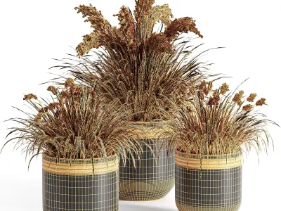 outdoor-plants-in-vase-001 3D model
