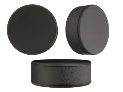 Ice Hockey Puck 3D model