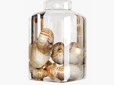 Sea shell decorative set 01 3D model