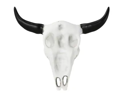 Bull Skull 3D model