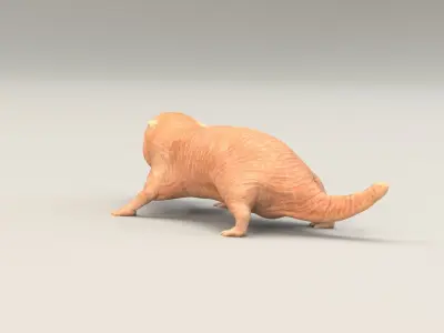Naked Mole Rat Low-poly 3D model