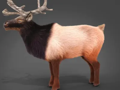 Fur Red Reindeer Blender NO RIG Low-poly 3D model