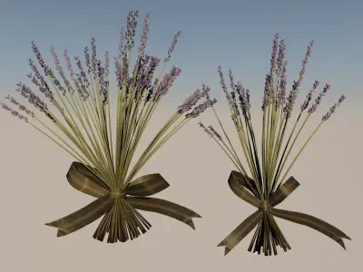 2 sizes Lavander with bow tie country decor style 3D model