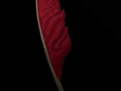 Stylized Scroll Pack Low-poly 3D model