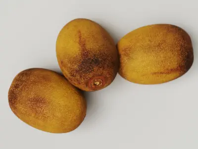 Golden Kiwi 3D model