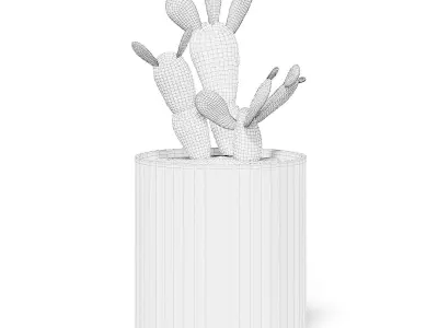 Cactus 3D Model in Metal Pot 3D model
