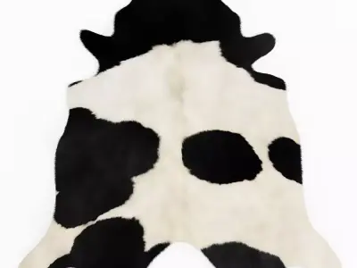 Brazilian Black And White Cowhide 3D model