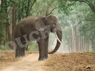 Elephant in circle 3D model