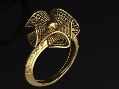 ring fiber 3D print model