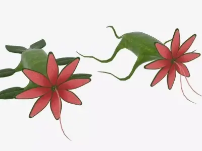  Crawling Monster Flower  Low-poly 3D model