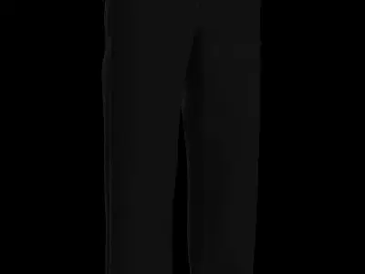 Male cotton canvas pant 3D model