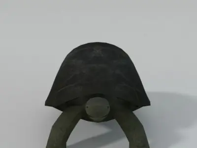 Tortoise turtle Low-poly 3D model