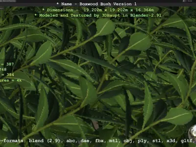 Low-Poly Boxwood Bush Version 1 Low-poly 3D model