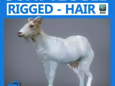 Rigged Goat 3D model