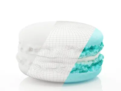 Rose Macaron and Sea salt caramel Macaron 3D print model