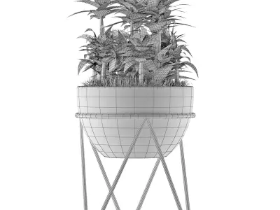 House Plant 21 3D model