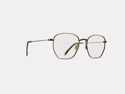 Hale Eyeglasses in Polished Gold 3D model